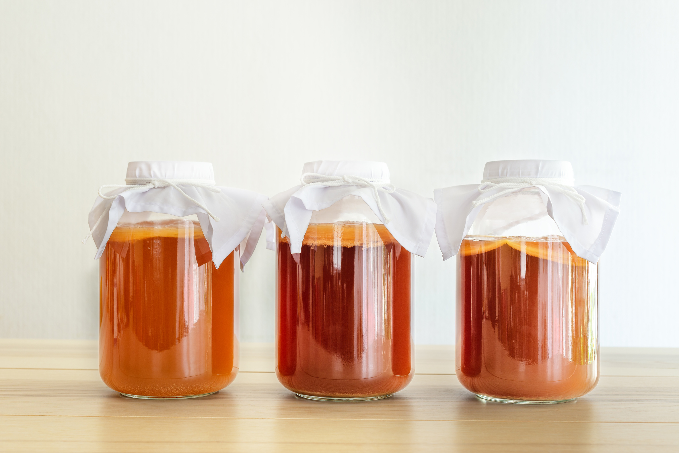 homemade fermented drink Kombucha SCOBY "symbiotic culture of bacteria and yeast"